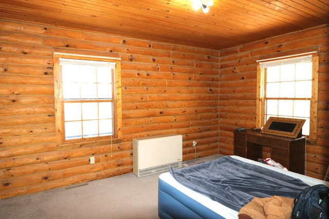 W7194 450th Ave, Ellsworth, WI 54011 - photo 12