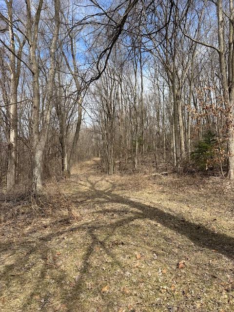 W7194 450th Ave, Ellsworth, WI 54011 - photo 28