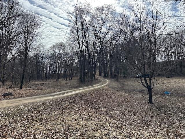 W7194 450th Ave, Ellsworth, WI 54011 - photo 34