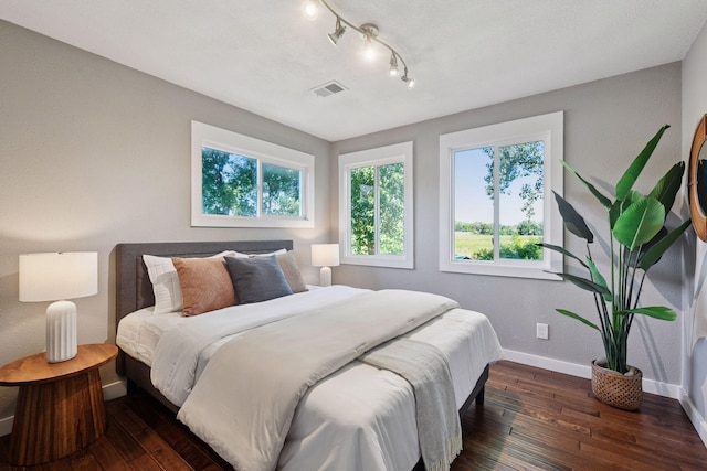 5446 Bartlett Blvd, Mound, MN 55364 - bedroom featuring dark wood finished floors, multiple windows, and rail lighting