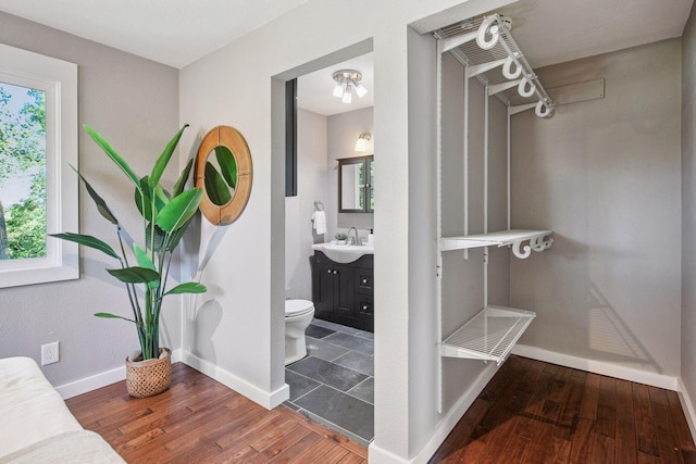 5446 Bartlett Blvd, Mound, MN 55364 - spacious closet with wood finished floors and a sink