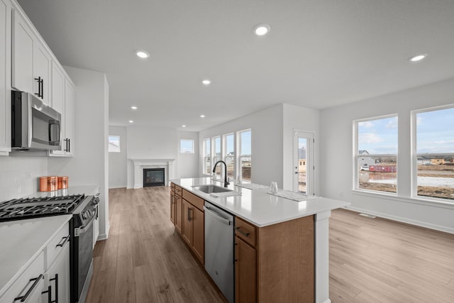 1520 Philipp Way, Shakopee, MN 55379 - kitchen featuring stainless steel appliances, open floor plan, a sink, a glass covered fireplace, and light wood-style floors