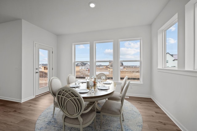 1520 Philipp Way, Shakopee, MN 55379 - dining area with plenty of natural light, baseboards, and wood finished floors