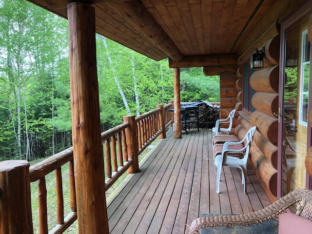 31149 County Road 40, Effie, MN 56639 - photo 22