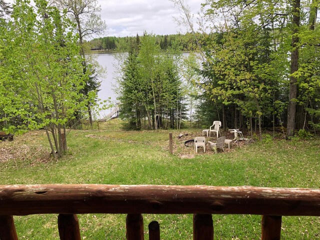 31149 County Road 40, Effie, MN 56639 - photo 24