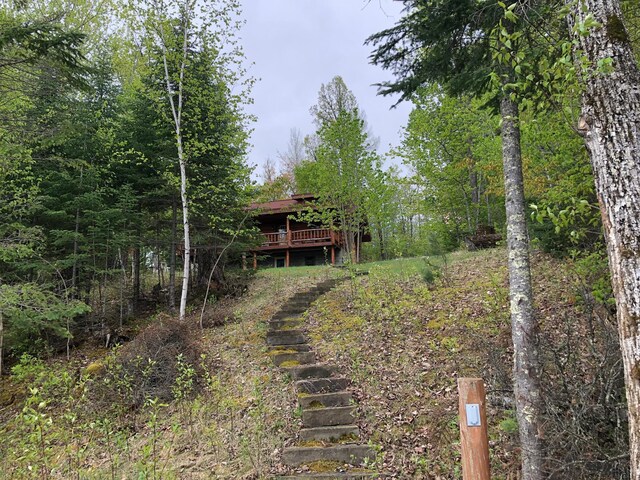 31149 County Road 40, Effie, MN 56639 - photo 25