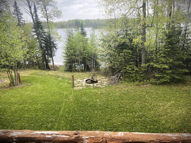 31149 County Road 40, Effie, MN 56639 - photo 26