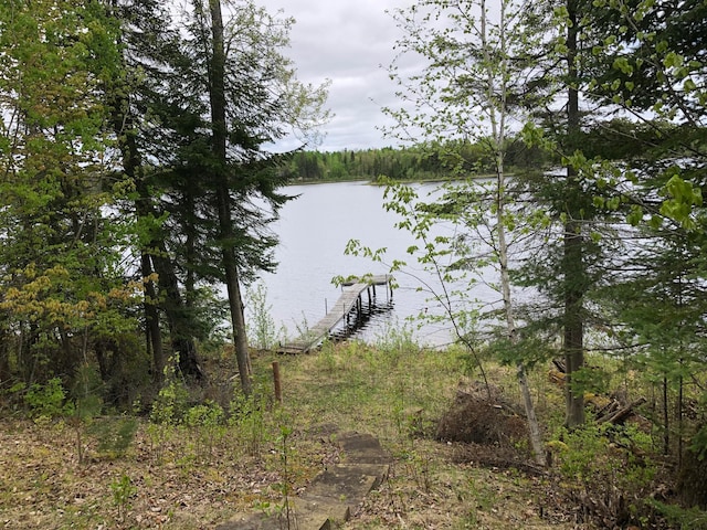 31149 County Road 40, Effie, MN 56639 - photo 27