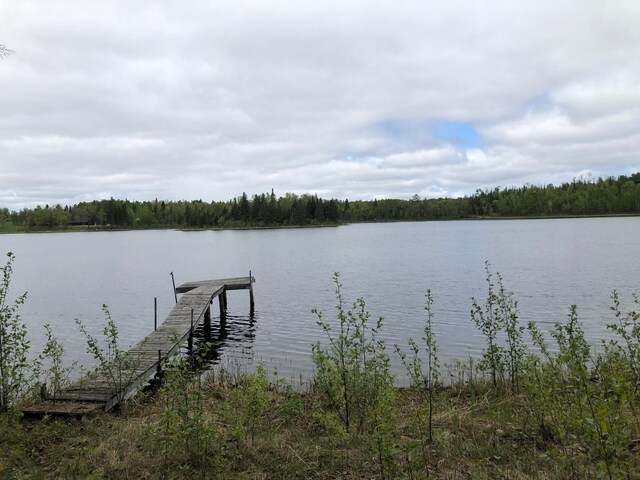 31149 County Road 40, Effie, MN 56639 - photo 28
