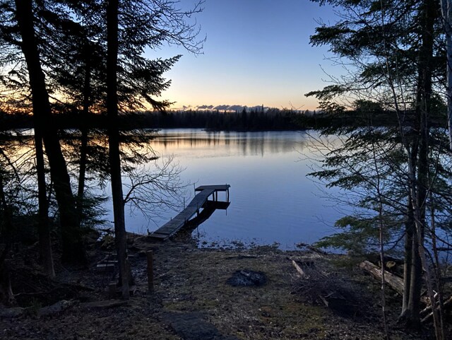 31149 County Road 40, Effie, MN 56639 - photo 30