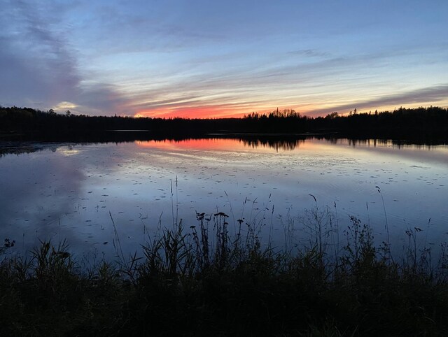 31149 County Road 40, Effie, MN 56639 - photo 32