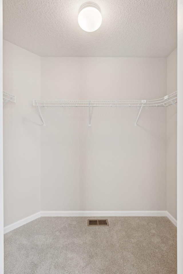 224 9th Ave Ct NW, Lonsdale, MN 55046 - spacious closet featuring visible vents and carpet