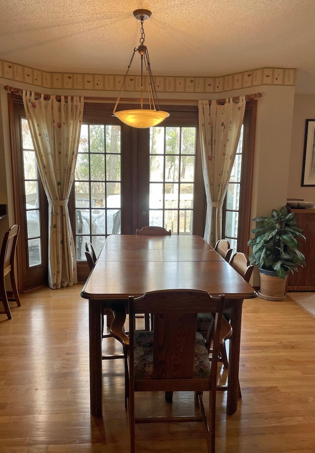 dining room with a healthy amount of sunlight, light wood-style floors, and a textured ceiling