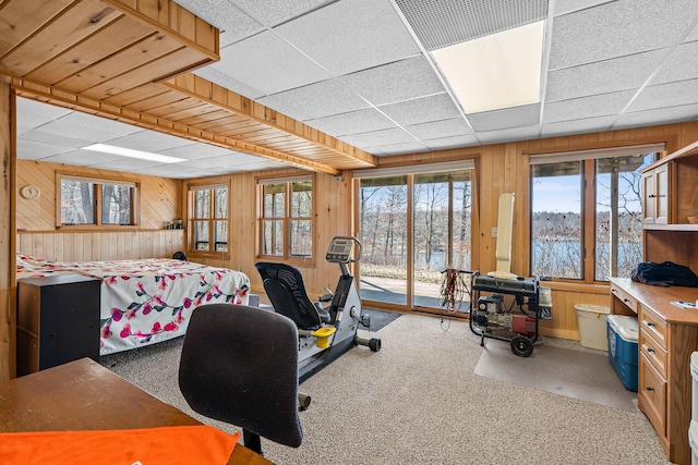 N2641 Cipra Rd, Sarona, WI 54870 - carpeted office space with wooden walls and a drop ceiling