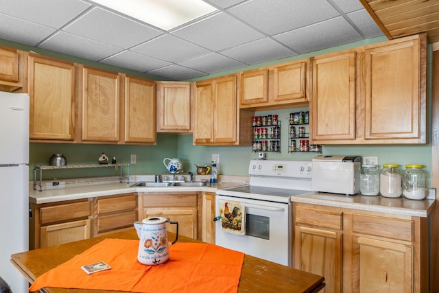 N2641 Cipra Rd, Sarona, WI 54870 - kitchen featuring white appliances, light brown cabinets, light countertops, and a paneled ceiling