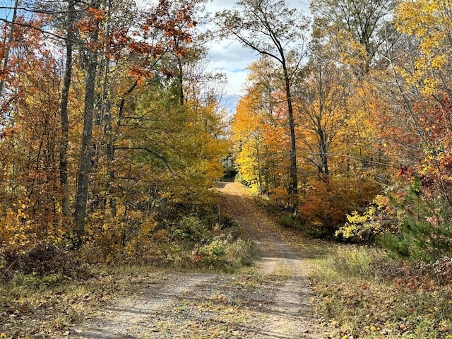 N2641 Cipra Rd, Sarona, WI 54870 - view of dirt / gravel road with a view of trees