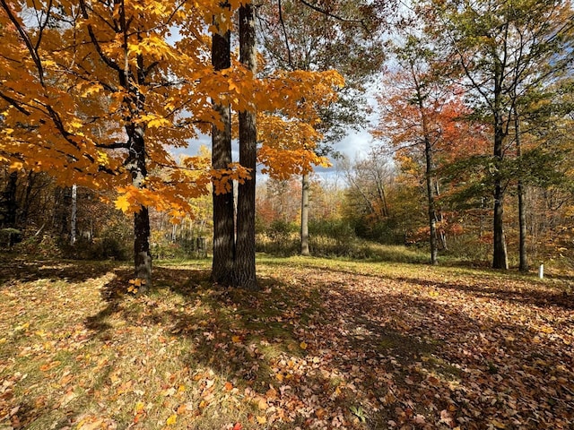 N2641 Cipra Rd, Sarona, WI 54870 - view of yard