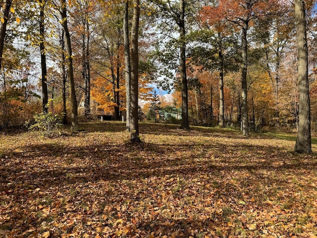 N2641 Cipra Rd, Sarona, WI 54870 - view of yard