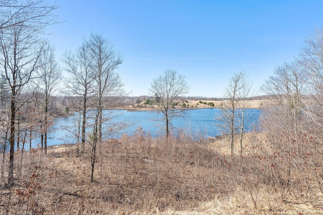 N2641 Cipra Rd, Sarona, WI 54870 - photo 44
