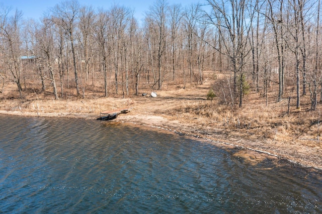 N2641 Cipra Rd, Sarona, WI 54870 - photo 60