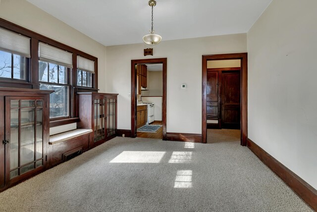 301 7th Ave S, Saint Cloud, MN 56301 - empty room featuring carpet floors and baseboards