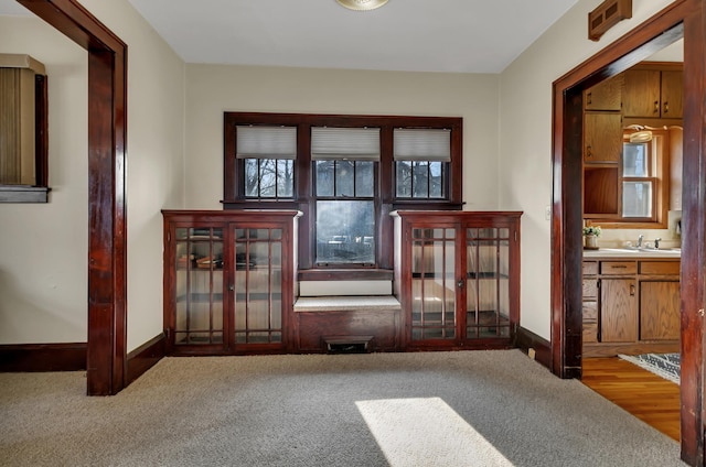 301 7th Ave S, Saint Cloud, MN 56301 - unfurnished dining area with carpet, a sink, and baseboards