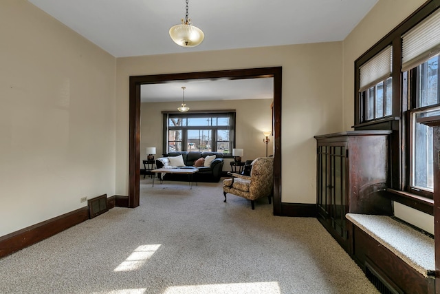 301 7th Ave S, Saint Cloud, MN 56301 - living room with carpet flooring and baseboards