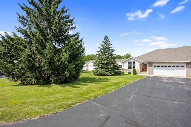 3181 County Road 82 NW, Alexandria, MN 56308 - photo 50