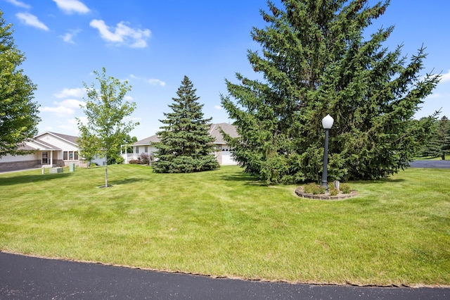3181 County Road 82 NW, Alexandria, MN 56308 - photo 51