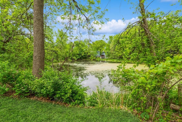 water view featuring a forest
