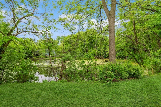 view of green lawn
