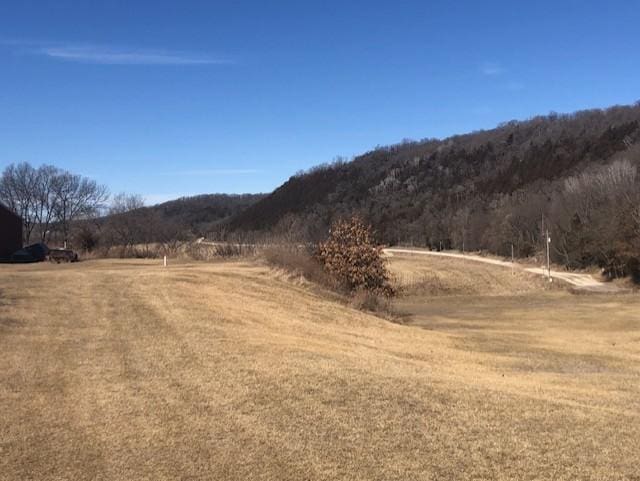 TBD Fawn Dr, Lanesboro, MN 55949