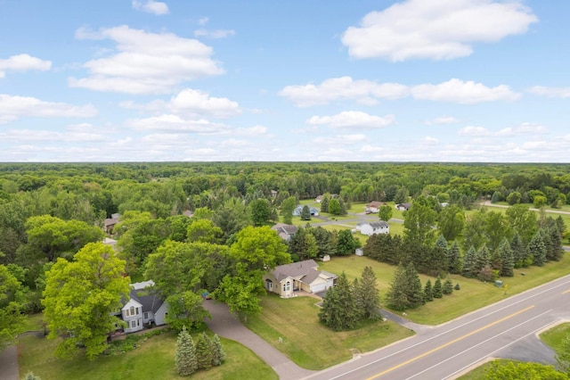 2222 Crosstown Blvd NE, Ham Lake, MN 55304 - bird's eye view of a forest