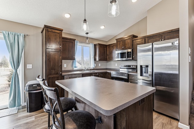 230 Newspaper Run NE, Kimball, MN 55353 - kitchen featuring stainless steel appliances, dark brown cabinets, vaulted ceiling, light wood-type flooring, and decorative light fixtures