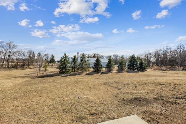 230 Newspaper Run NE, Kimball, MN 55353 - view of undeveloped land