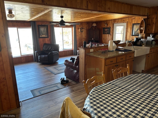 kitchen with a sink, wood walls, plenty of natural light, a ceiling fan, and wood finished floors