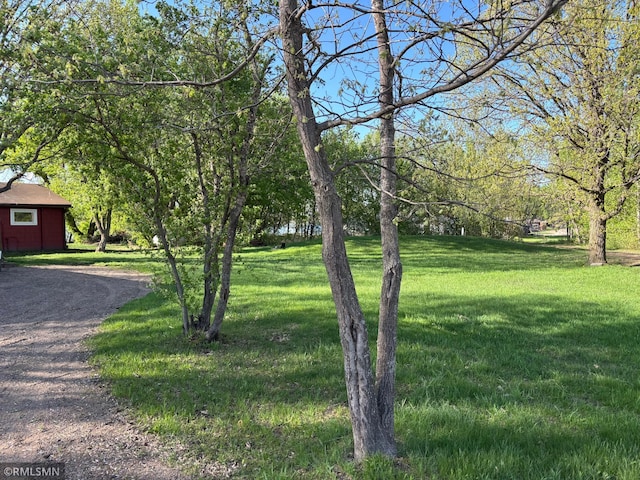 view of grassy yard featuring driveway