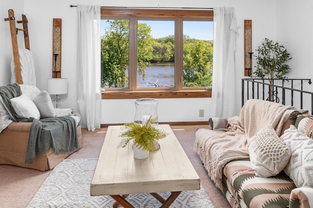 332 Riverside Ave S, Sartell, MN 56377 - living room with carpet flooring, baseboards, and a water view