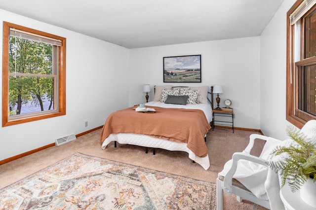 332 Riverside Ave S, Sartell, MN 56377 - bedroom with carpet flooring and baseboards