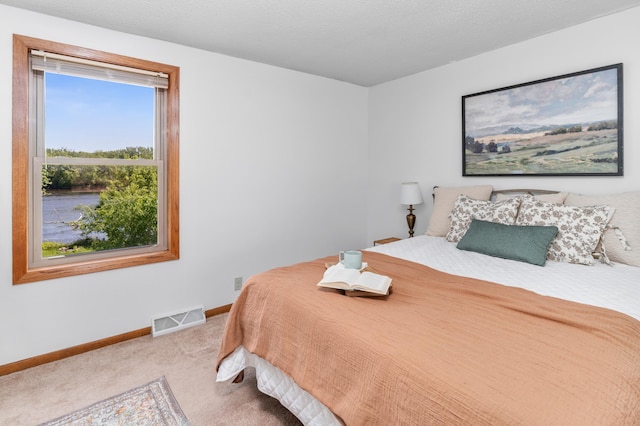 332 Riverside Ave S, Sartell, MN 56377 - bedroom with carpet floors and baseboards