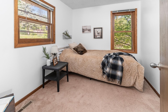 332 Riverside Ave S, Sartell, MN 56377 - bedroom with multiple windows, carpet, and baseboards