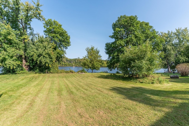 332 Riverside Ave S, Sartell, MN 56377 - view of grassy yard with a water view