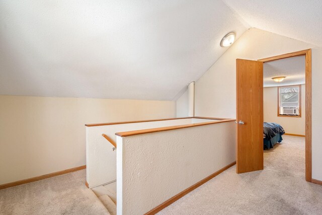221 Park St, Owatonna, MN 55060 - photo 20