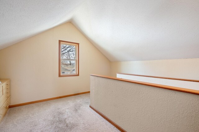 221 Park St, Owatonna, MN 55060 - photo 21