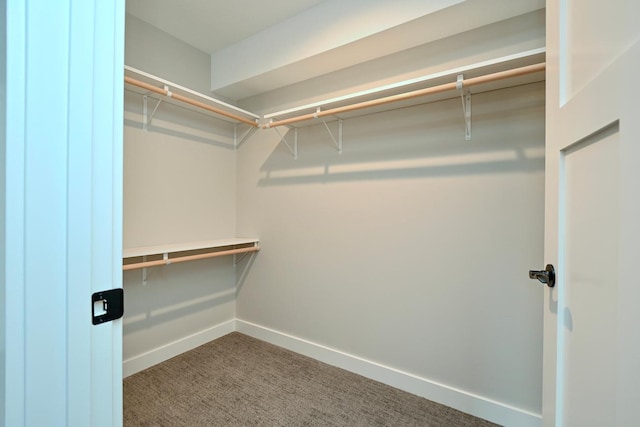 walk in closet with carpet