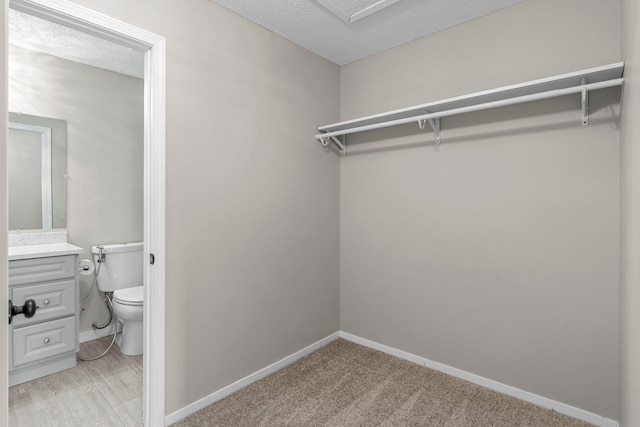 walk in closet featuring light carpet