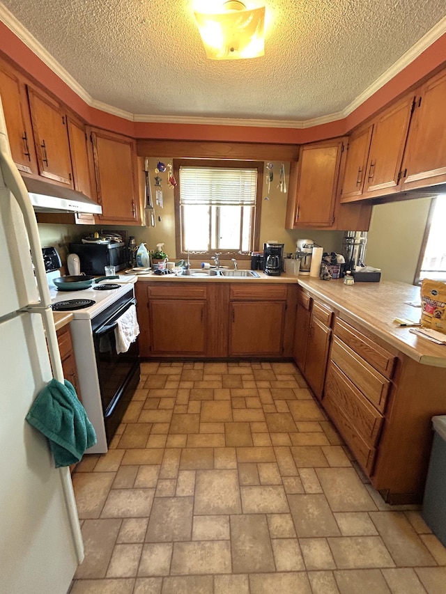43475 310th Ave NE, Gatzke, MN 56724 - kitchen with a peninsula, electric range oven, light countertops, under cabinet range hood, and brown cabinets
