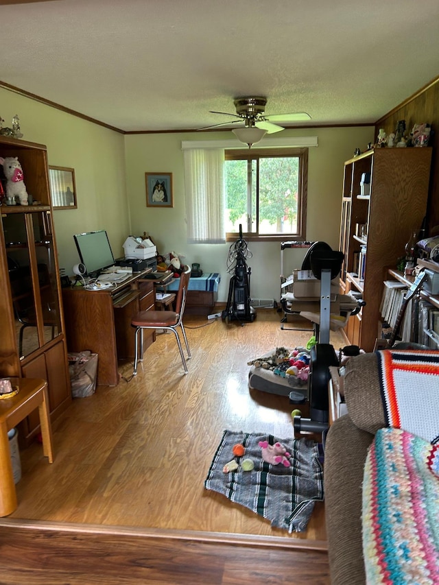 43475 310th Ave NE, Gatzke, MN 56724 - office space with crown molding, a ceiling fan, and wood finished floors