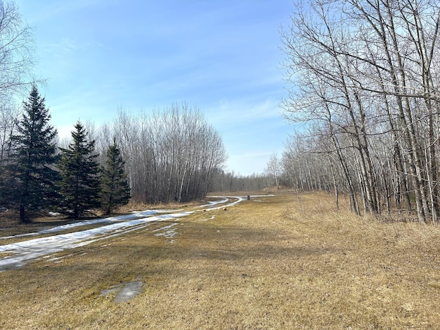 43475 310th Ave NE, Gatzke, MN 56724 - view of street