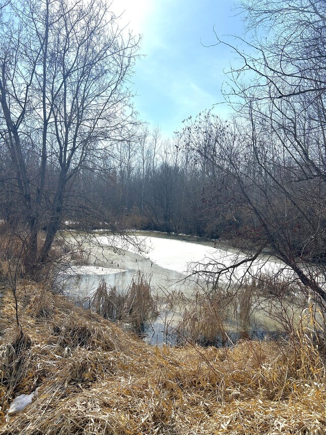 43475 310th Ave NE, Gatzke, MN 56724 - property view of water with a forest view